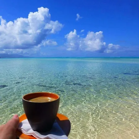 Ekolojik Tatil Koeyue Çeşme