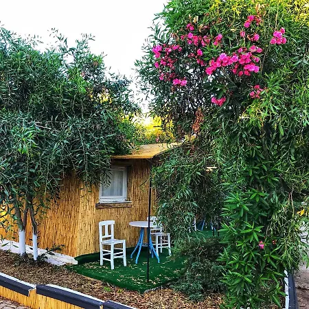 Resort Ekolojik Tatil Koeyue *